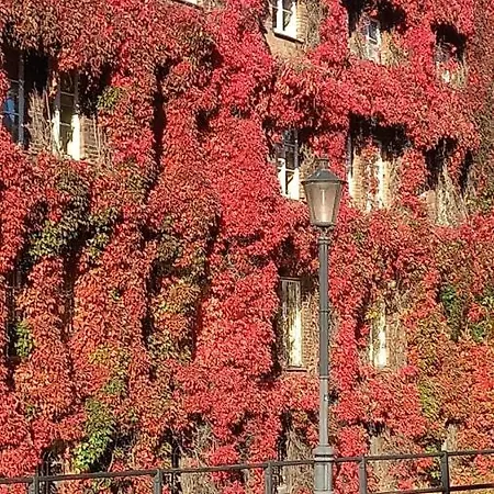 Apartmán Garncarska6 *
